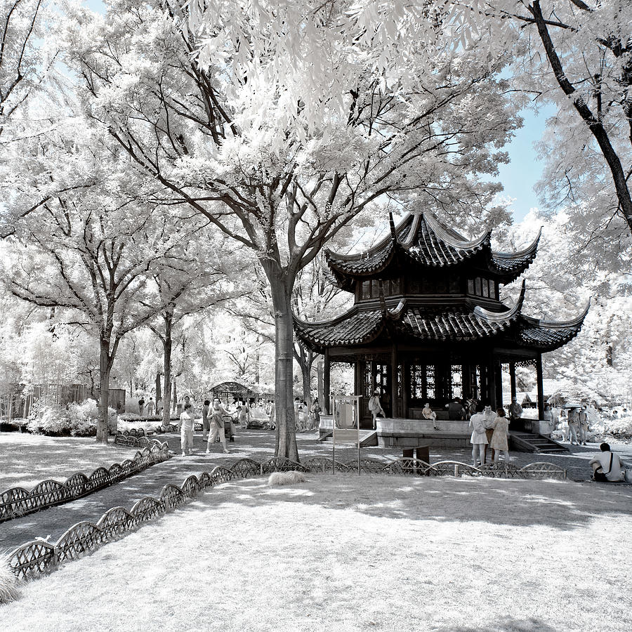 Another Look Asia China - Frozen Park Photograph by Philippe HUGONNARD