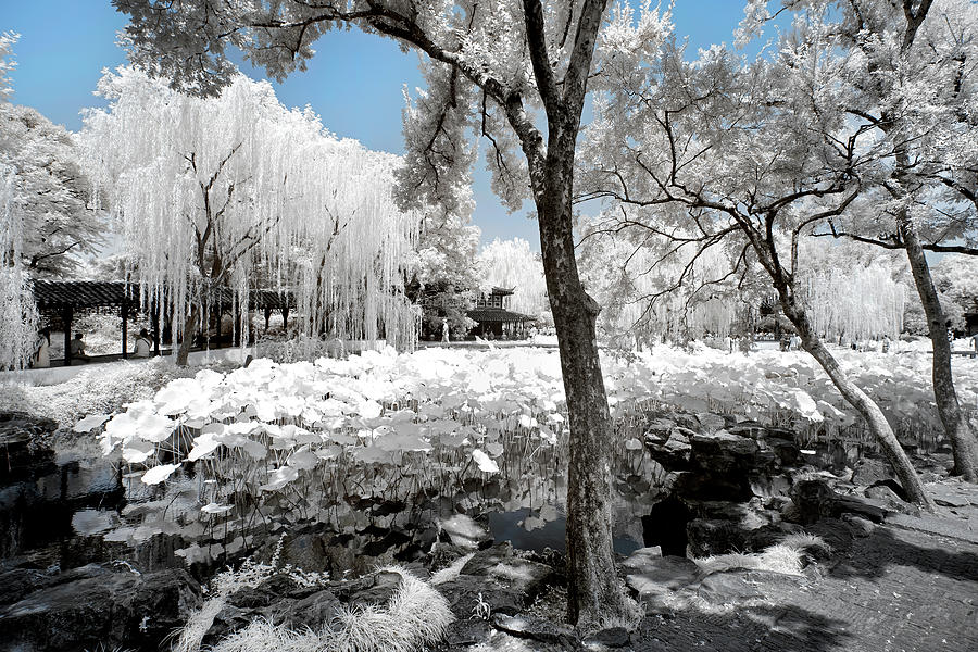 Another Look Asia China - Frozen Whiteness Photograph by Philippe HUGONNARD