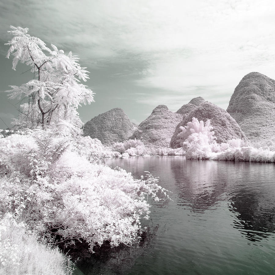 Another Look Asia China - Pink Fullness Photograph by Philippe HUGONNARD