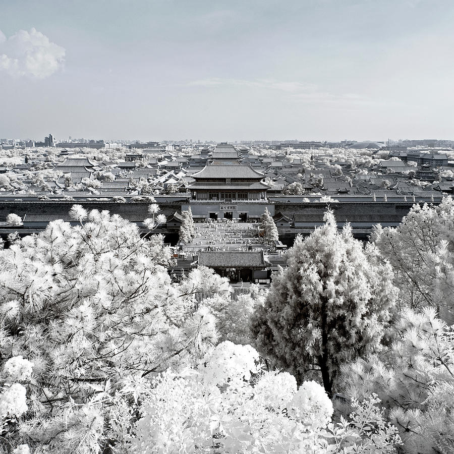 Another Look Asia China - The Forbidden City Photograph by Philippe HUGONNARD
