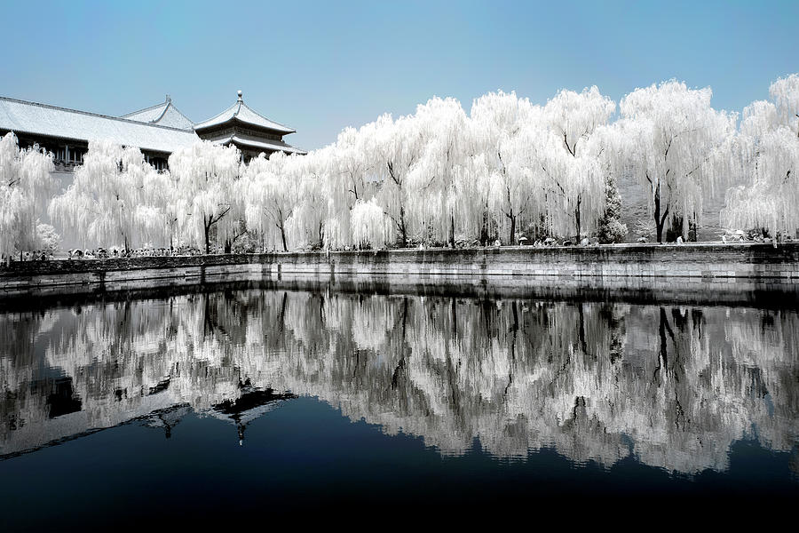 Another Look Asia China - Winter reflections Photograph by Philippe HUGONNARD