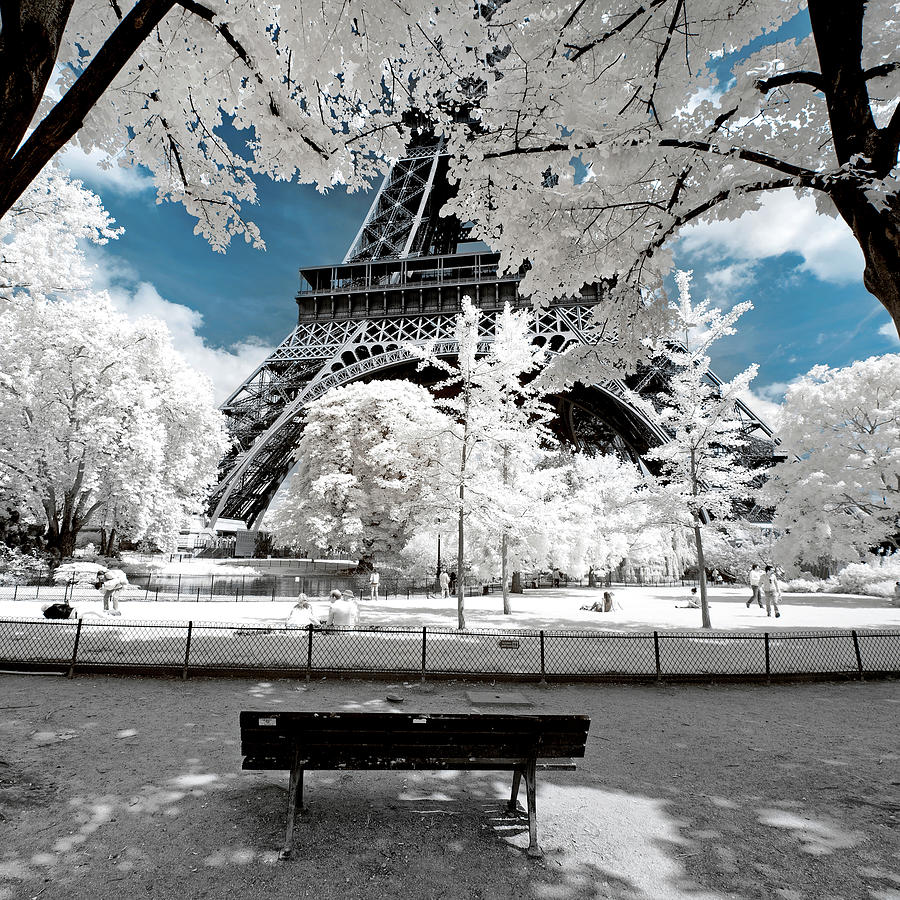 Another Look - Black Bench Eiffel Photograph by Philippe HUGONNARD