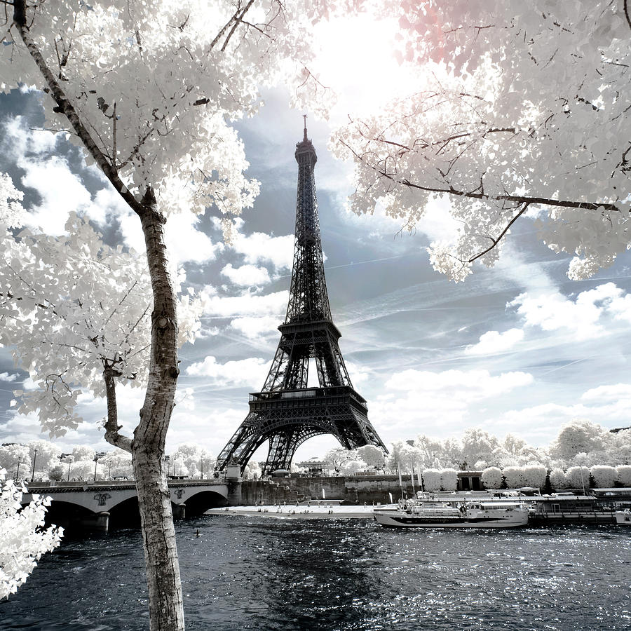Another Look - Eiffel Whiteness Photograph by Philippe HUGONNARD