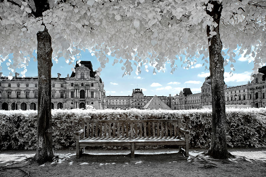 Another Look - Frozen Paris Photograph by Philippe HUGONNARD