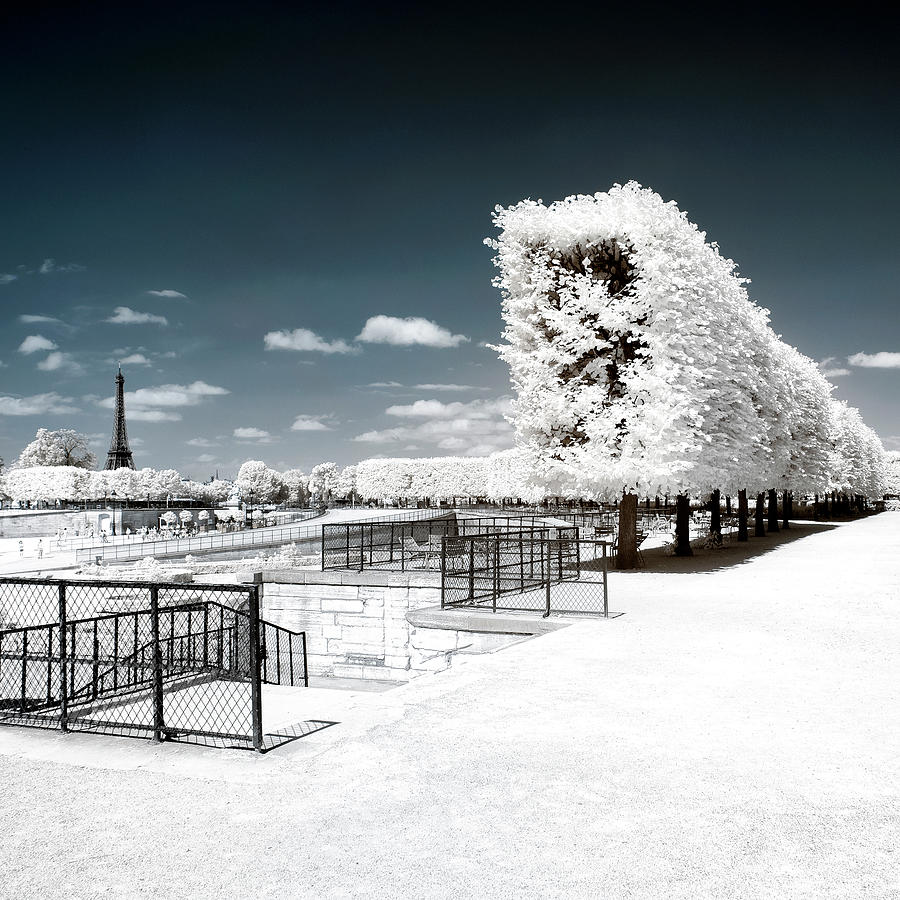 Another Look - Jardins des Tuileries Photograph by Philippe HUGONNARD