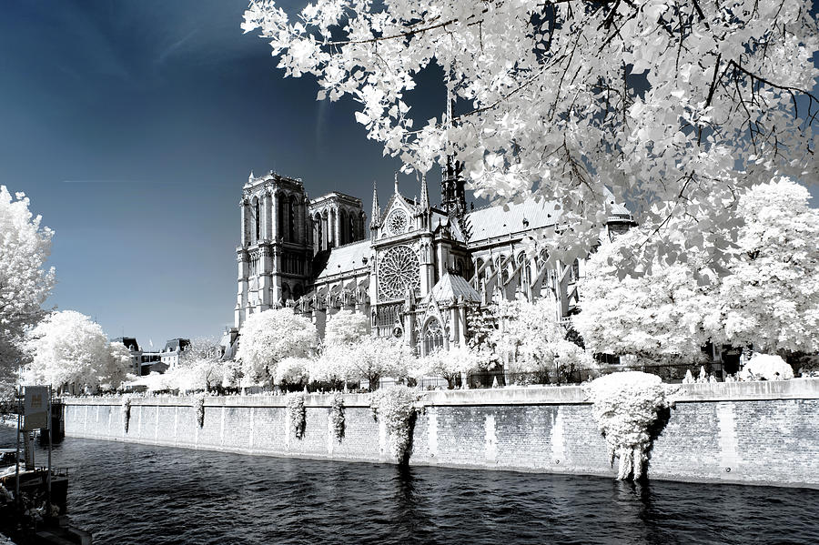 Another Look - Notre Dame de Paris I Photograph by Philippe HUGONNARD