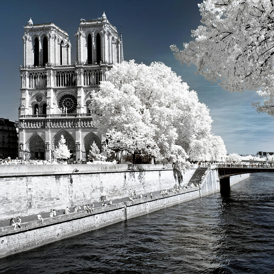 Another Look - Paris Notre Dame Photograph by Philippe HUGONNARD
