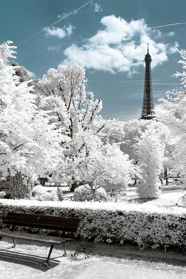 Another Look - Paris Whiteness Lovers I Photograph by Philippe HUGONNARD