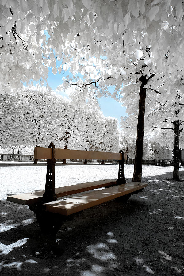 Another Look - Solitary Bench III Photograph by Philippe HUGONNARD