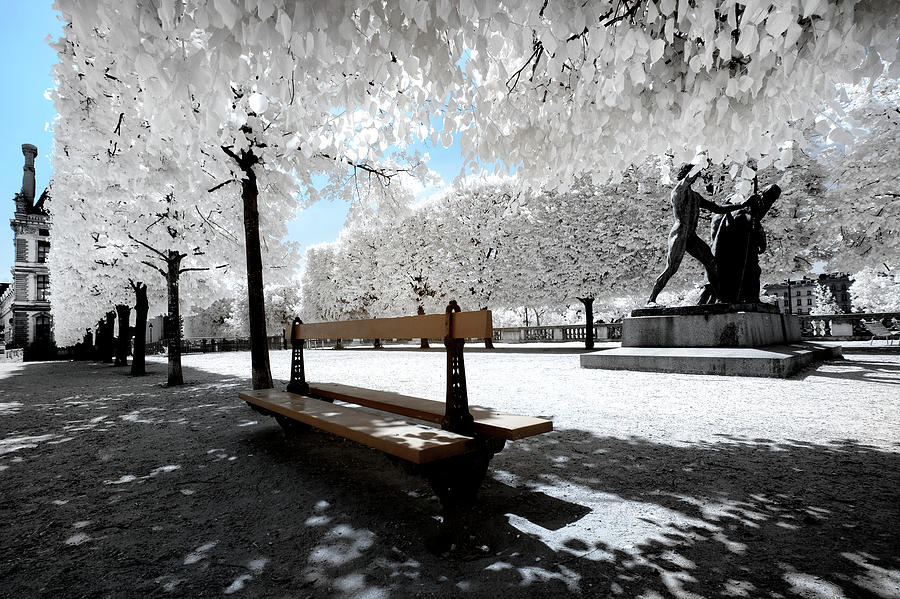 Another Look - Solitary Bench Photograph by Philippe HUGONNARD