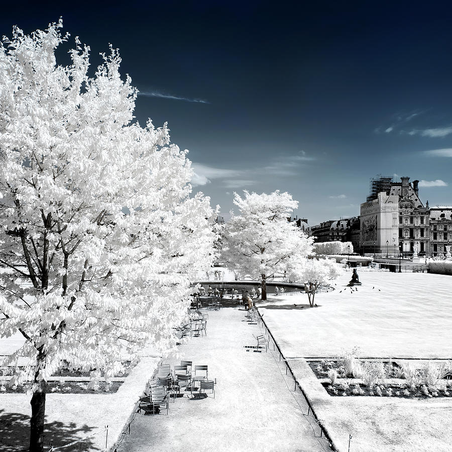 Another Look - Whiteness Tuileries I Photograph by Philippe HUGONNARD