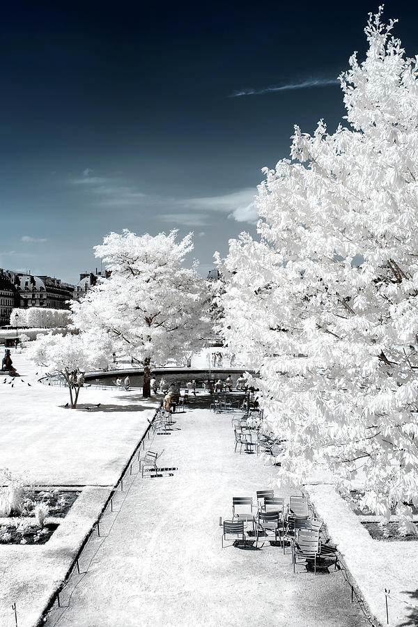 Another Look - Whiteness Tuileries II Photograph by Philippe HUGONNARD