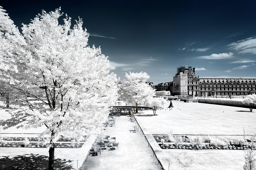 Another Look - Whiteness Tuileries Photograph by Philippe HUGONNARD