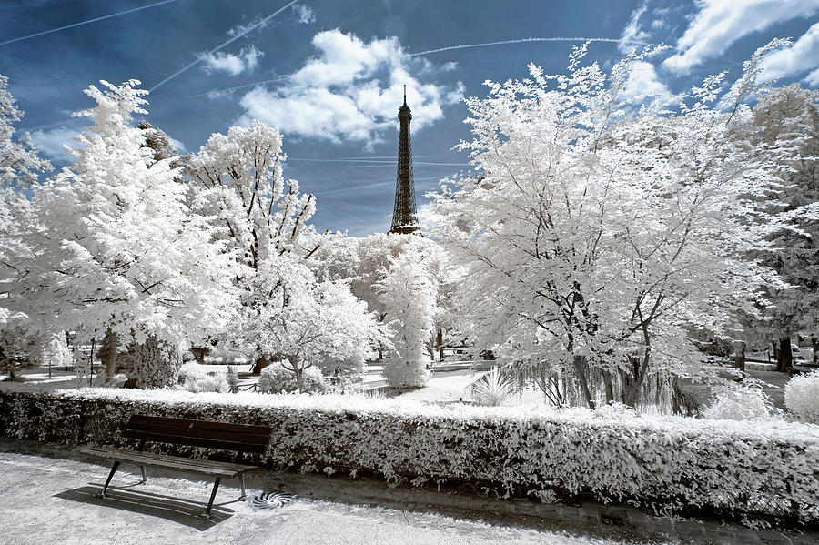 Another Look - Winter sunday in Paris Photograph by Philippe HUGONNARD