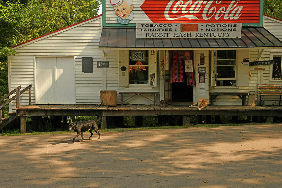 Another Morning At Rabbit Hash General Store Photograph