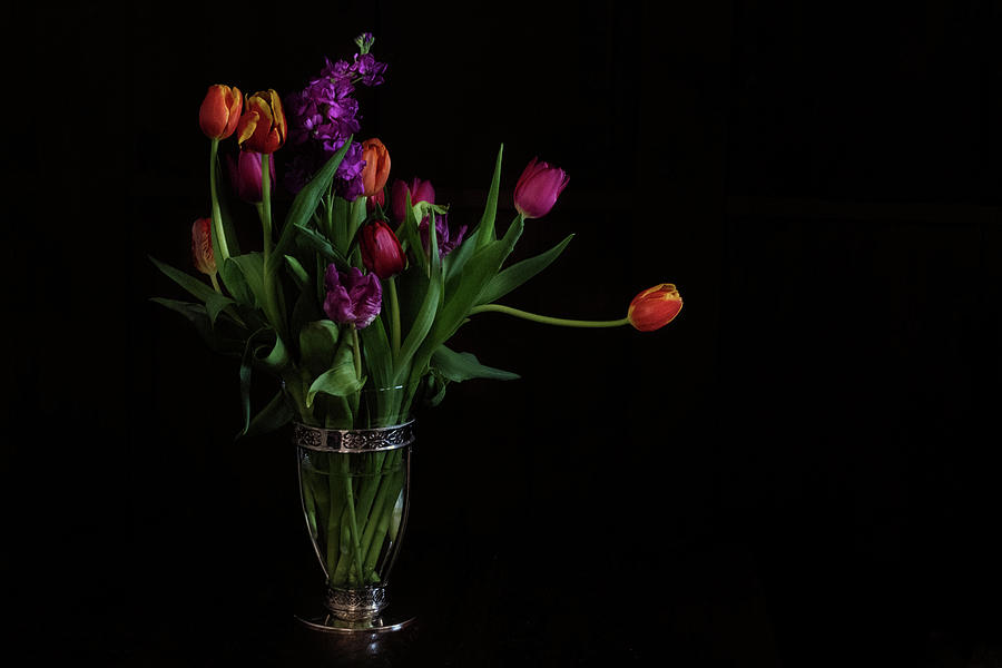 Another Ode to Tulips Photograph by William Fields