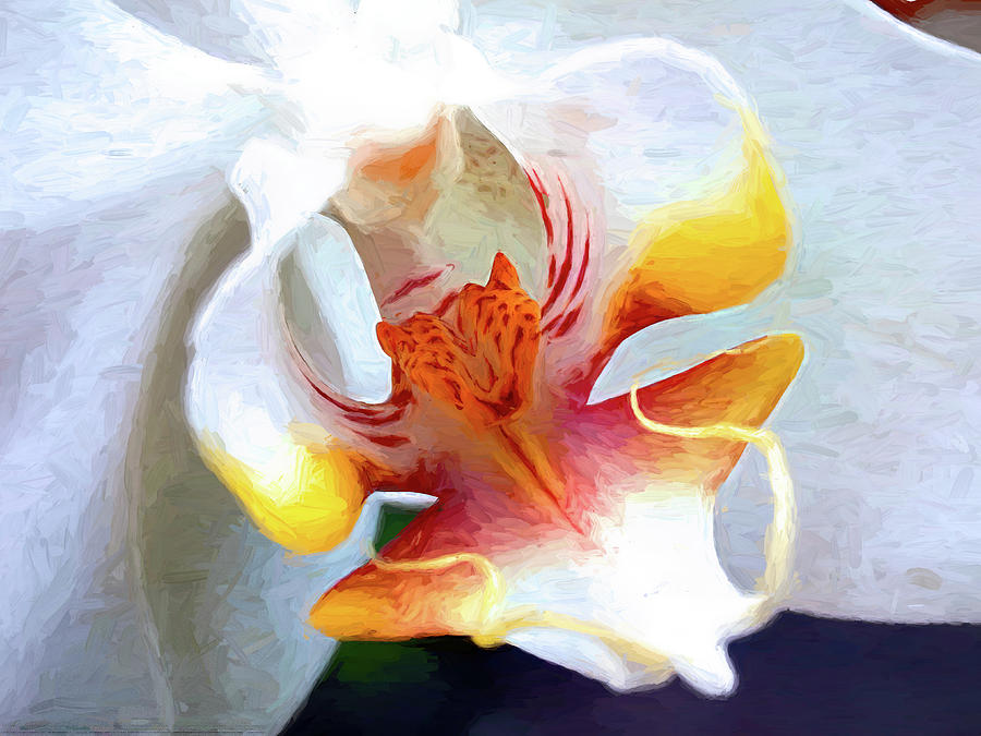 Another Orchid by PAUL COCO Another Orchid by PAUL COCO