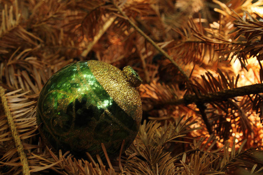 Another Ornament in Situ Photograph by W Craig Photography