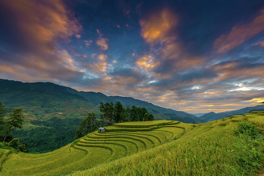 Another rice terraces in sunset Photograph by Son Nguyen - Fine Art America