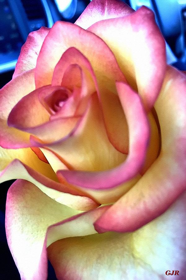 Another Rose For Anne Catus 2 No. 3 - L A Digital Art