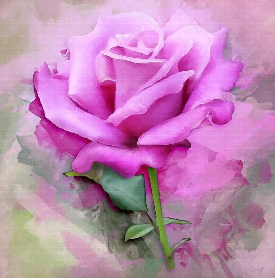 Another Rose For Anne Catus 3 No. 1 L B Digital Art by Gert J Rheeders ...