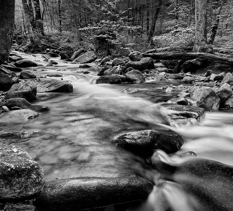 Another Stream in the Smokies Photograph by Jon Glaser