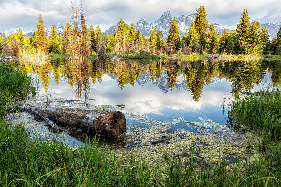 Another View of the Tetons from the Schwabacher Landing Photograph by Belinda Greb