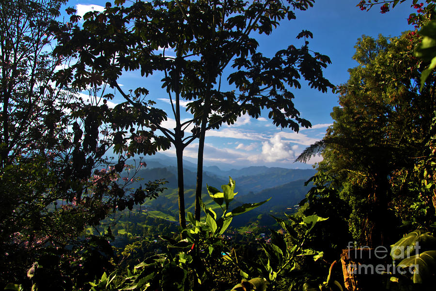 Another Vista From Chipre Barrio In Manizales Photograph by Al Bourassa