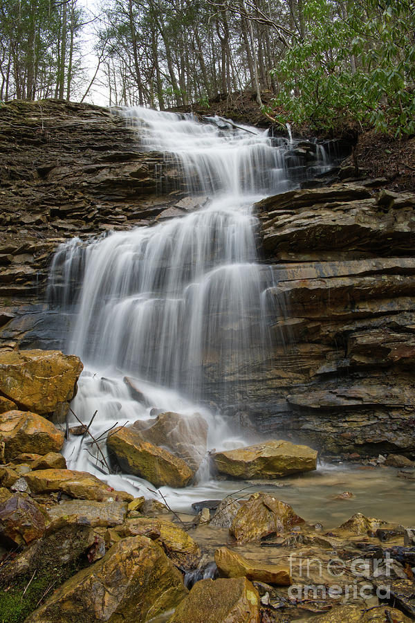 Another Waterfall On Bruce Creek 3 Photograph by Phil Perkins