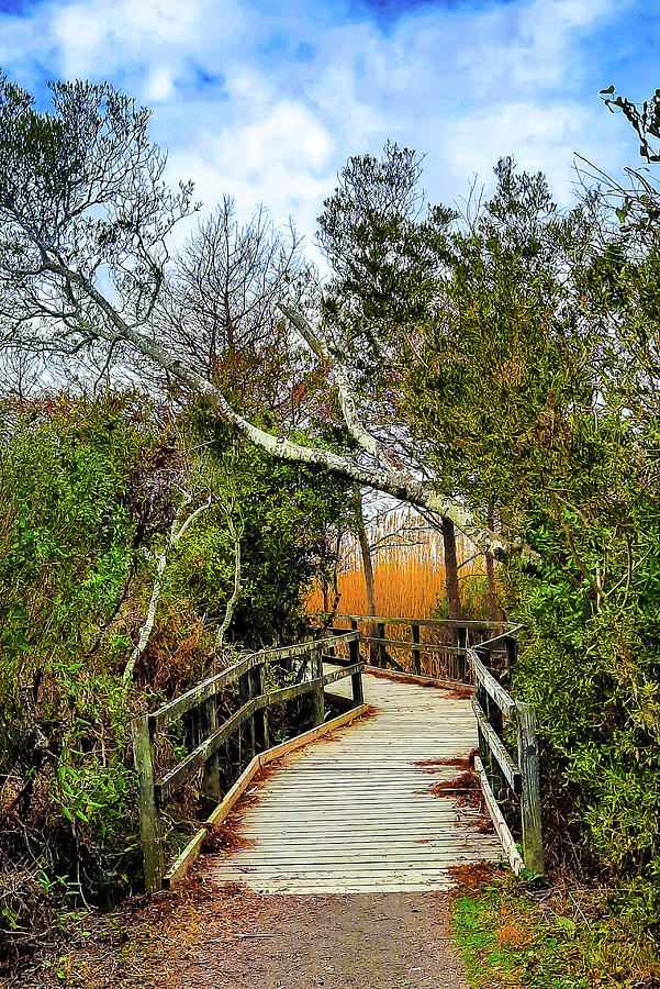 Another Wooden Bridge to Cross Back Bay National Wildlife Refuge Photograph by Ola Allen