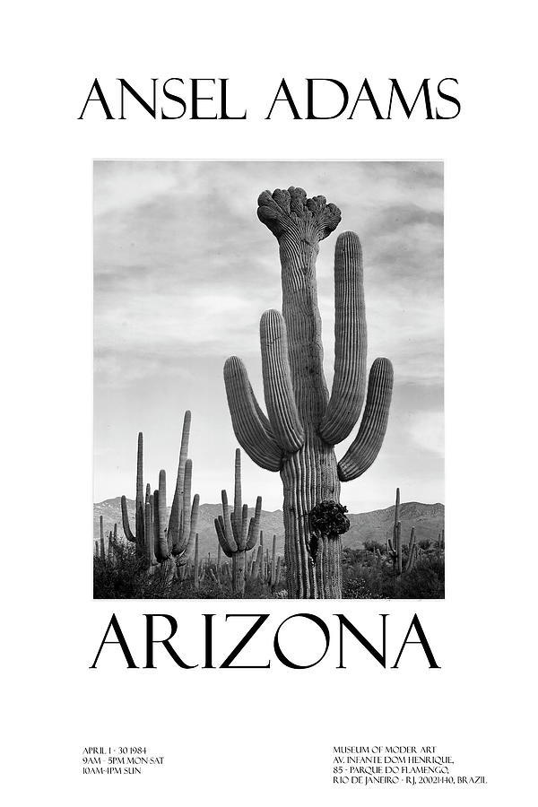 Ansel Adams Arizona Photograph by Chris Smith