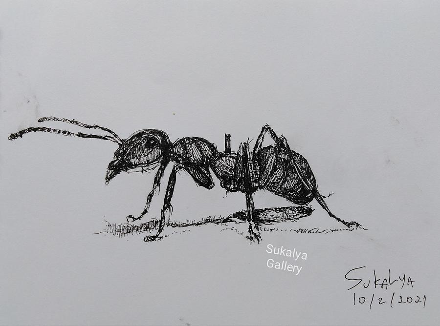 Ant Drawing by Sukalya Chearanantana