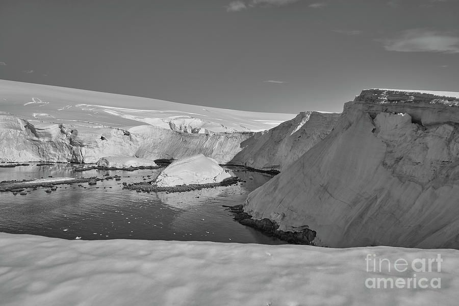 Antarctic Beauty Photograph by Brian Kamprath