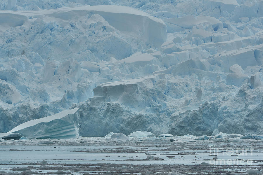 Antarctic Blue Photograph by Brian Kamprath