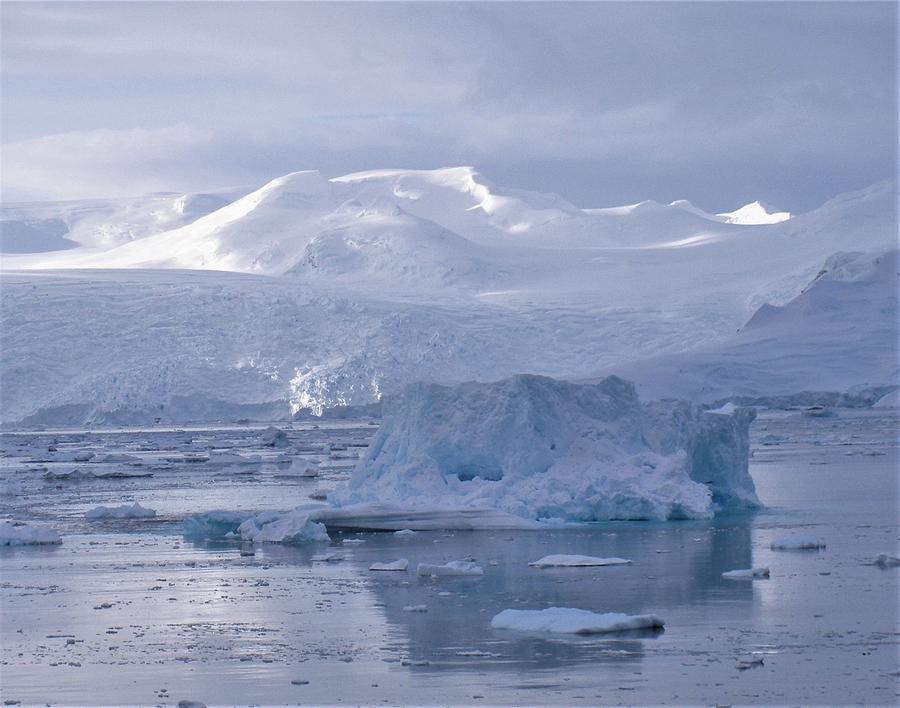 Antarctic icebergs 2 Photograph by Athol KLIEVE - Fine Art America