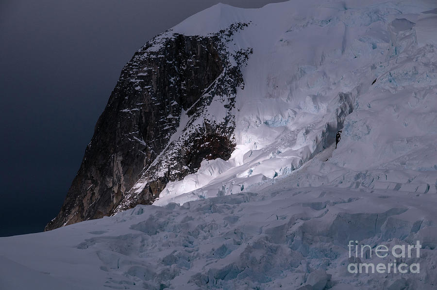 Antarctic Light Photograph by David Lichtneker