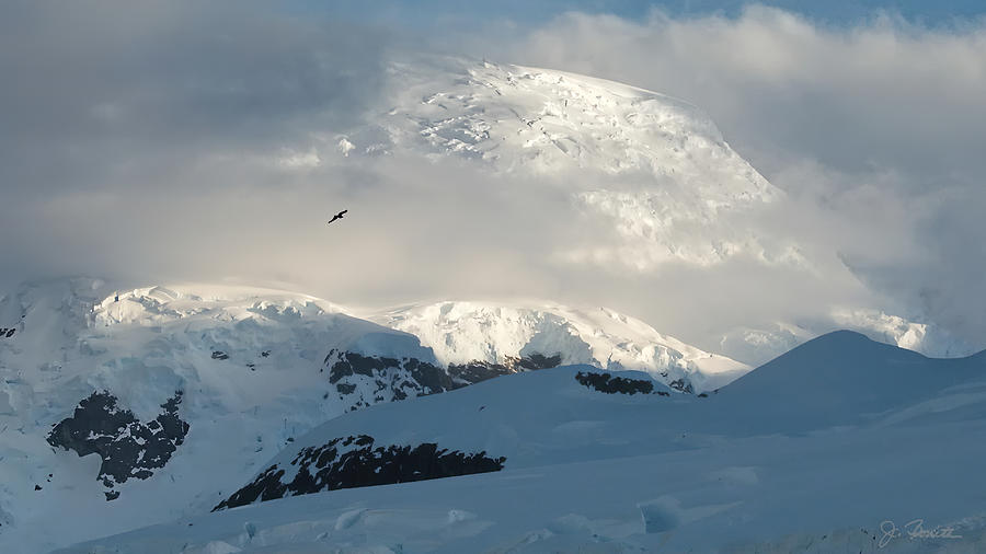 Antarctic No. 8a Photograph by Joe Bonita