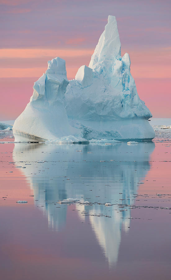 Antarctic Pastels Photograph by Andrew Dickman