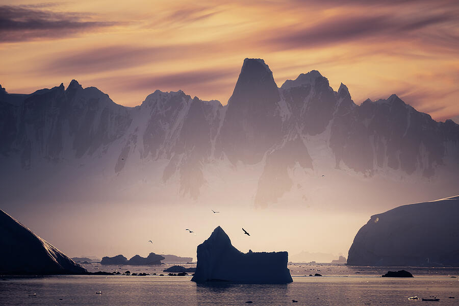 Sunset Photograph - Antarctic Peninsula by Ted Hesser Sunset Photograph - Antarctic Peninsula by Ted Hesser