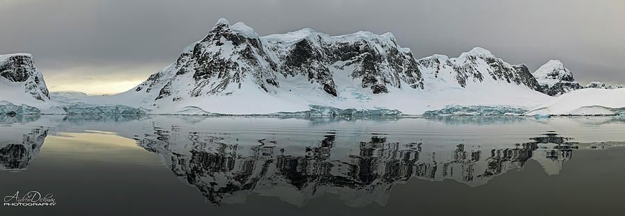 Antarctica Photograph by Andrew Dickman