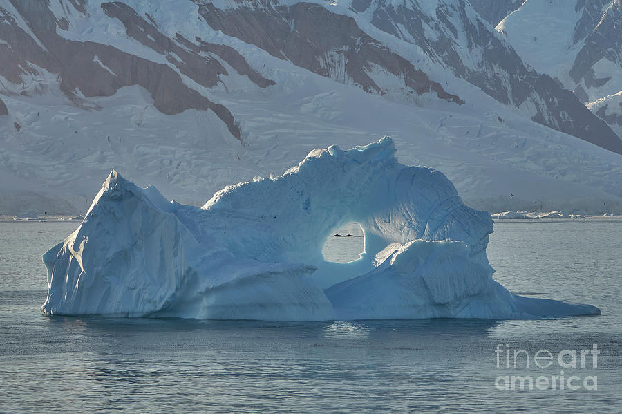 Antarctica Photograph by Brian Kamprath