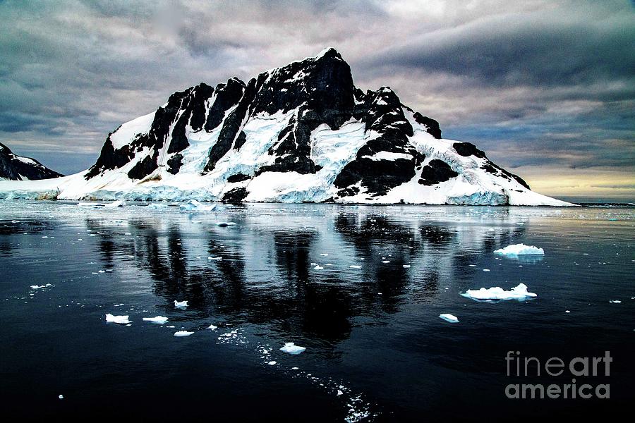 Antarctica Photograph by Darcy Dietrich