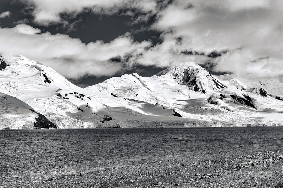 Antarctica Peninsula Photograph by Tom Watkins PVminer pixs