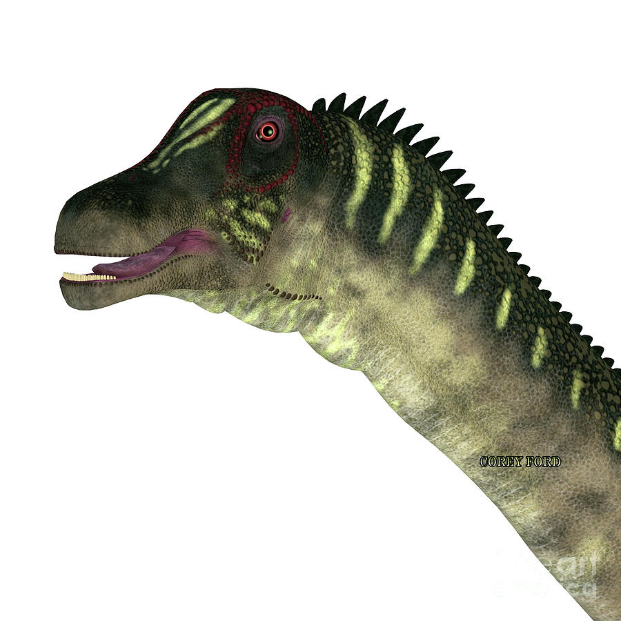 Antarctosaurus Dinosaur Head Digital Art by Corey Ford