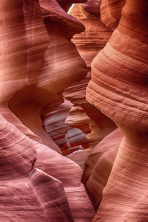 Antelope Canyon Abstract Photograph by Dave Dilli