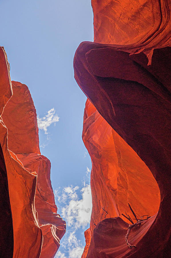 Antelope Canyon Skyward Photograph