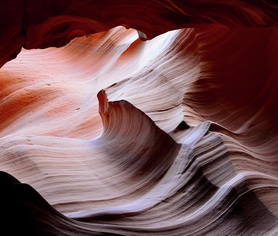 Antelope Canyon Wave Photograph Photograph by Barbara Sophia Photography