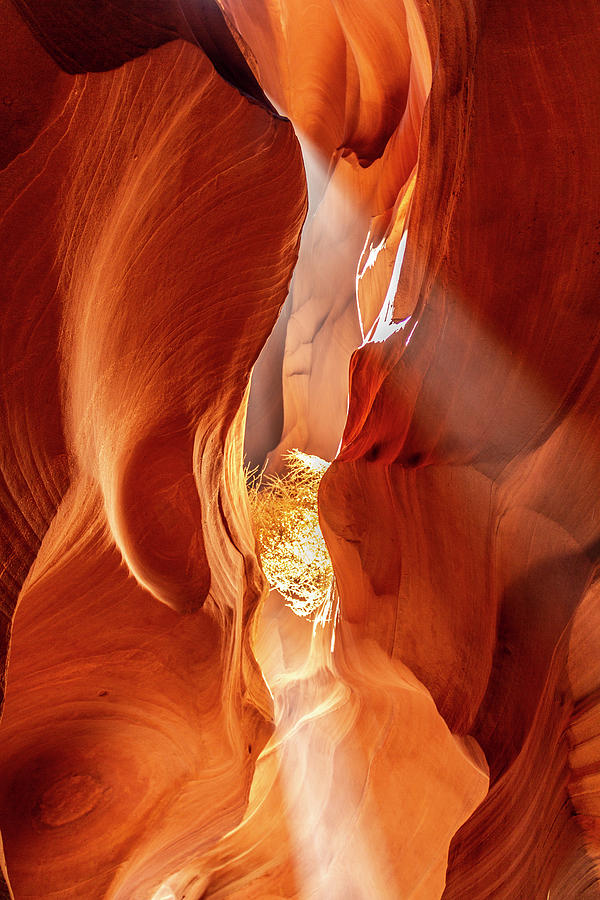 Antelope Hall of Light Series #9 - Page, Arizona, USA - 2011 2/10 Photograph by Robert Khoi