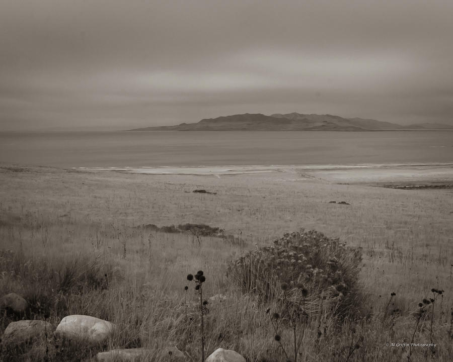 Antelope Island in Sepia Photograph by Al Griffin