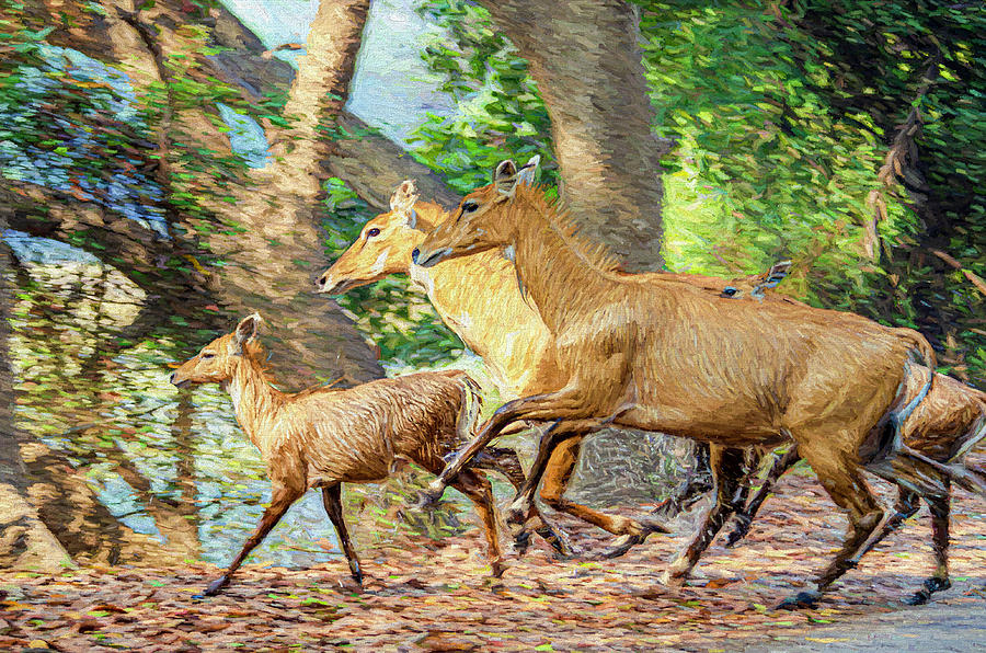 Antelopes galloping Digital Art by Pravine Chester